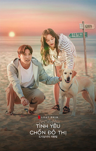 Tình Yêu Chốn Đô Thị, Lovestruck in the City - Choi Min Ho