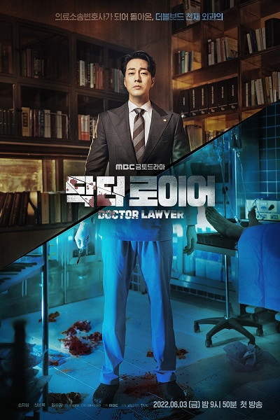 Bác Sĩ Luật Sư, Doctor Lawyer - Yoo Sun Ho