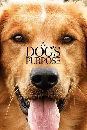 Mục Đích Sống Của Một Chú Chó, A Dogs Purpose - Dennis Quaid