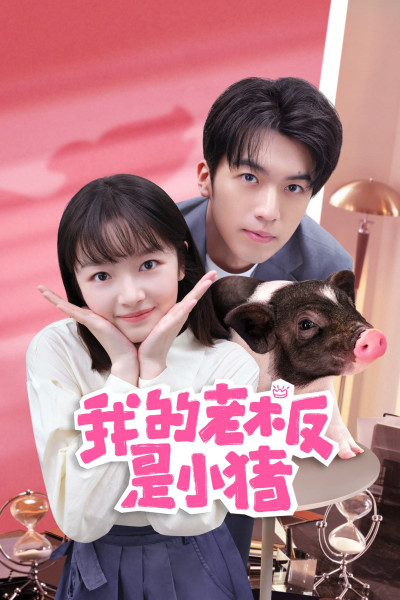 Sếp Của Tôi Là Chú Lợn Nhỏ, My Boss Is Little Pig - Yang Jun Han