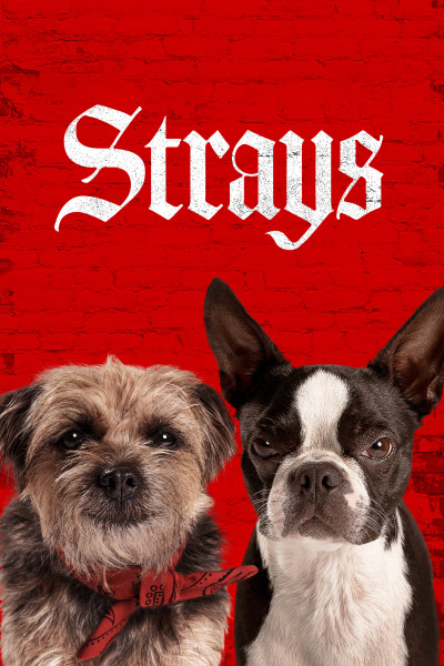 Những Chú Chó Bụi Đời, Strays - Will Forte