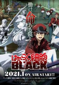 Phim Hataraku Saibou Black 2021