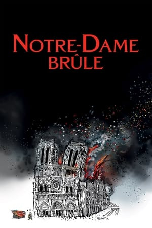 Vụ Cháy Ở Pari, Notre-Dame Brûle - Jean Jacques Annaud