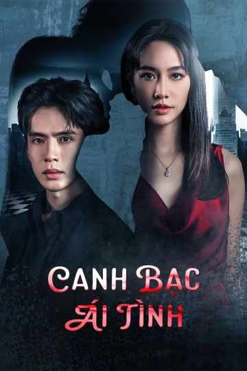 Phim Canh Bạc Ái Tình 2024