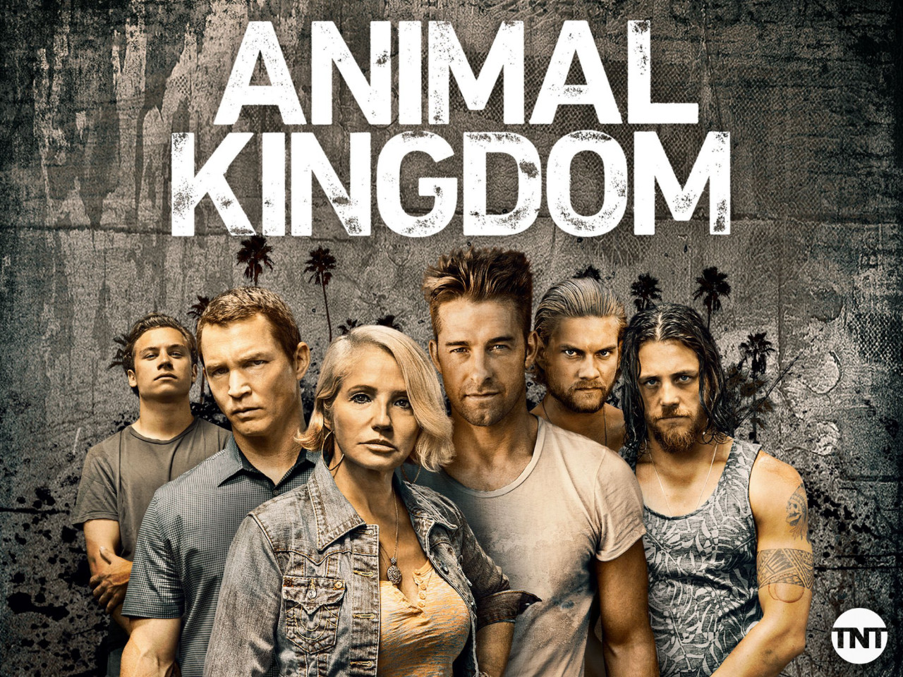 Vương Quốc Động Vật Phần 1 - Animal Kingdom Season 1