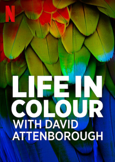 David Attenborough: Sự Sống Đầy Màu Sắc - Life In Colour With David Attenborough