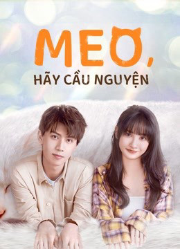 Meo, Hãy Cầu Nguyện, Make A Wish - Trần Hạo Lam