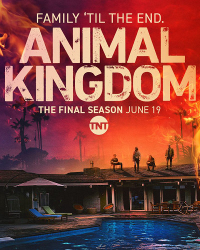 Vương Quốc Động Vật Phần 6, Animal Kingdom Season 6 - Ben Robson