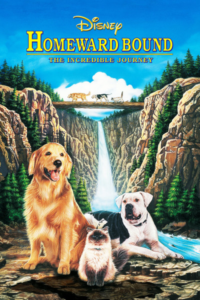 Phim Homeward Bound: The Incredible Journey 1993