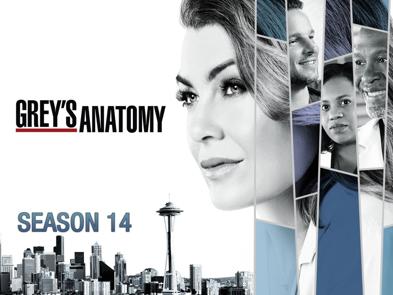 Ca Phẫu Thuật Của Grey Phần 14 - Greys Anatomy Season 14