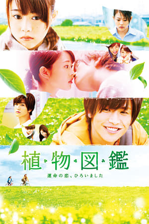 Tình Yêu Định Mệnh Chợt Đến, Evergreen Love - Iwata Takanori